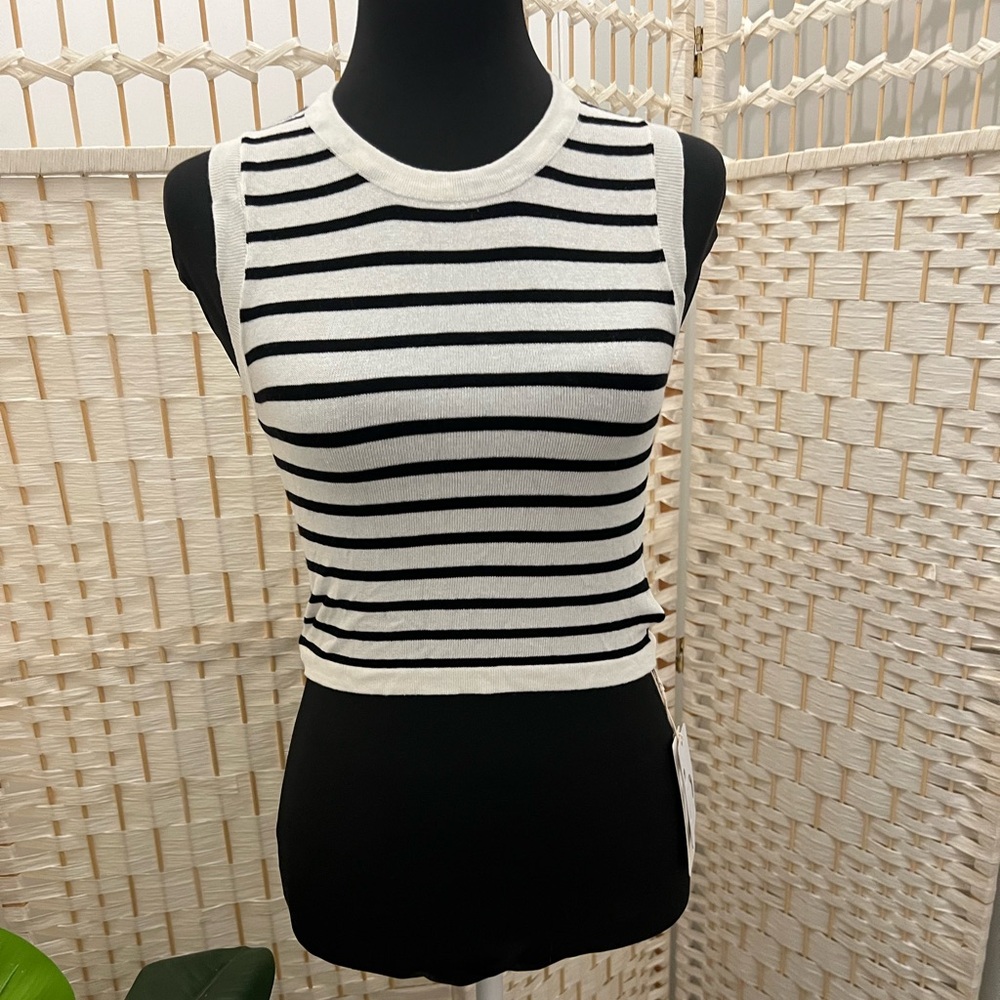 Classy Stripe Crop Tank Top